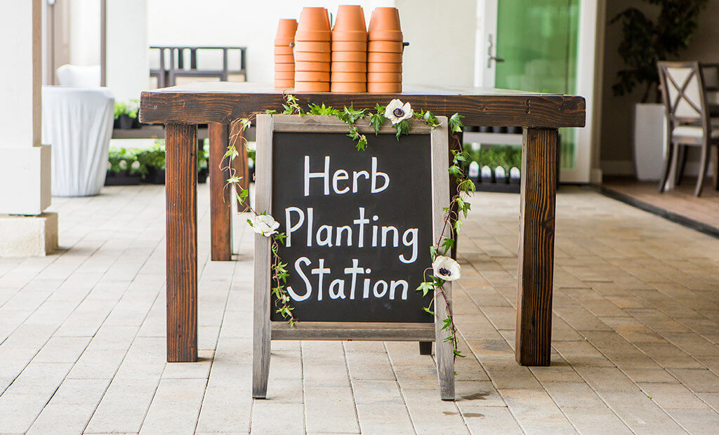 community-garden-herb-planting-station