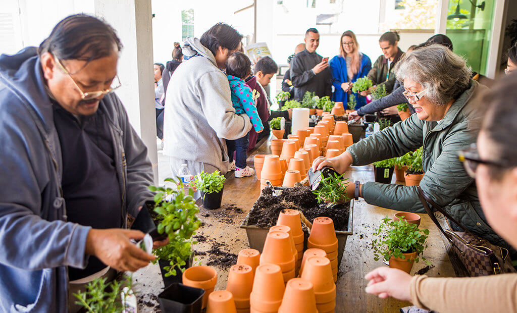 potting-plants-herbs-community-event